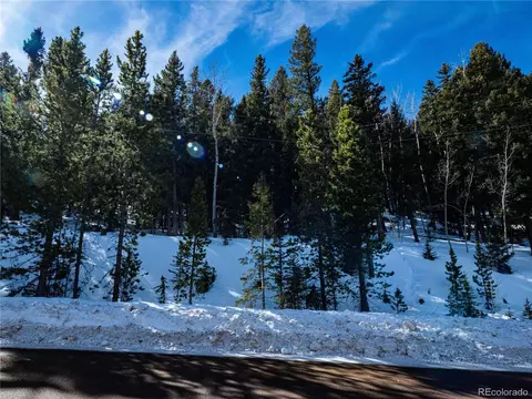 10229 Christopher Dr, Conifer, CO 80433 photo 1