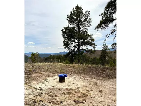 31625 Half Peak Trl, Pine, CO 80470 photo 4