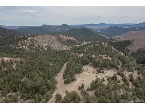 31625 Half Peak Trl, Pine, CO 80470 photo 11