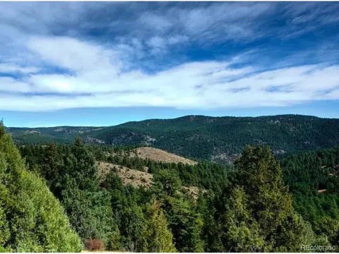 31625 Half Peak Trl, Pine, CO 80470 photo 5