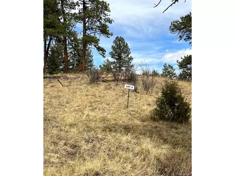 31625 Half Peak Trl, Pine, CO 80470 photo 3