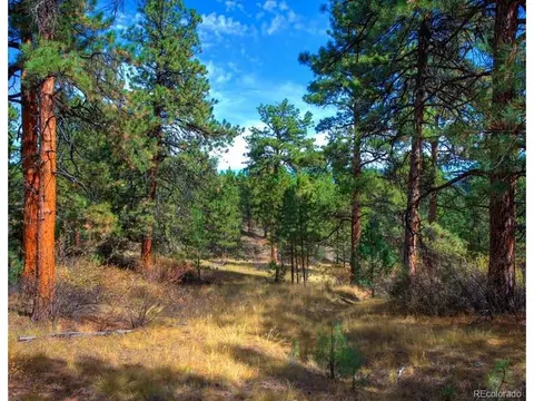 31625 Half Peak Trl, Pine, CO 80470 photo 6