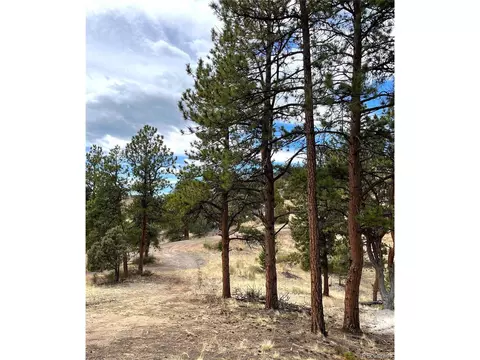 31625 Half Peak Trl, Pine, CO 80470 photo 8