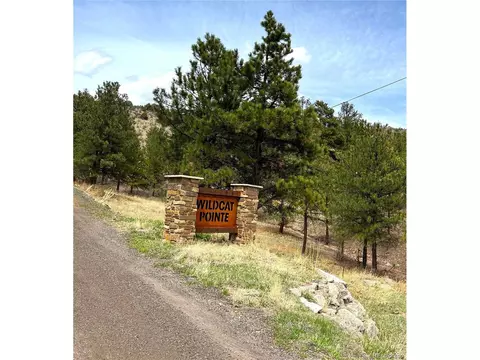 31625 Half Peak Trl, Pine, CO 80470 photo 2