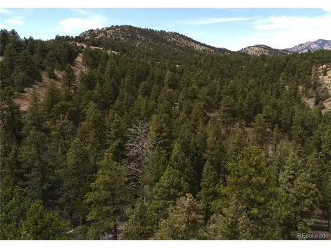 31625 Half Peak Trl, Pine, CO 80470 photo 10