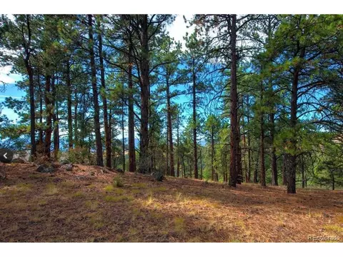 31625 Half Peak Trl, Pine, CO 80470 photo 7