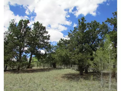 19 Deer Ct, Jefferson, CO 80456