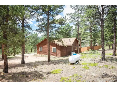 Exterior - 21 Crystal Rock Rd, Bailey, CO 80421 photo 9 of 10