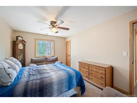 Bedroom - 21 Crystal Rock Rd, Bailey, CO 80421 photo 2 of 6