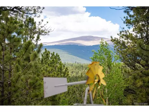 View/Area - 21 Crystal Rock Rd, Bailey, CO 80421 photo 1 of 13