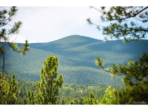 View/Area - 21 Crystal Rock Rd, Bailey, CO 80421 photo 3 of 13