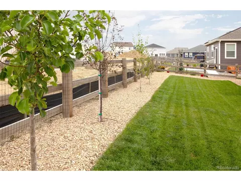 7437 E 157th Ave, Thornton, CO 80602 photo 31