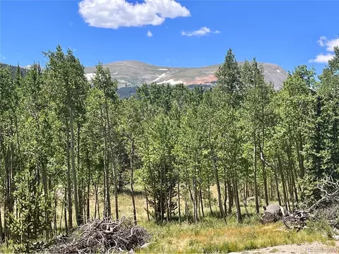 845 Adventure Rd, Alma, CO 80420