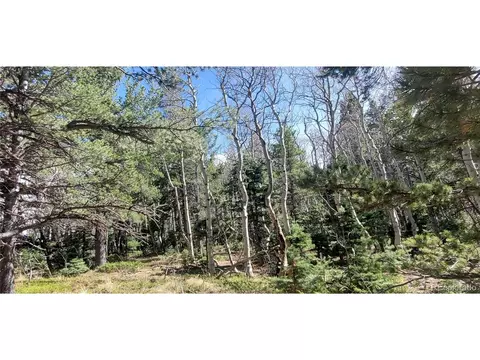 2560 Grojean Dr, Fort Garland, CO 81133