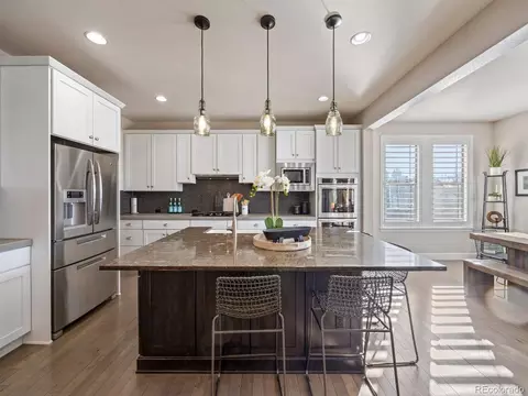10831 Manorstone Dr, Highlands Ranch, CO 80126 photo 11