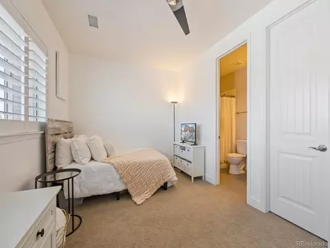 10831 Manorstone Dr, Highlands Ranch, CO 80126 photo 28