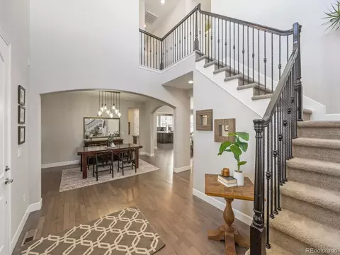 10831 Manorstone Dr, Highlands Ranch, CO 80126 photo 20