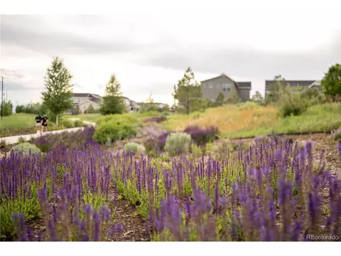 5450 Riverbend, Longmont, CO 80504 photo 28