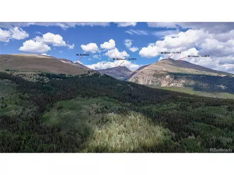2631 Co Rd 12, Alma, CO 80440