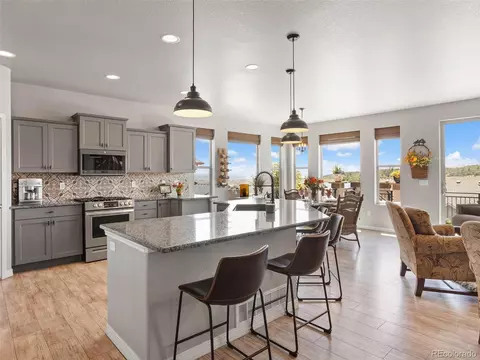 2973 Lakefront Dr, Monument, CO 80132 photo 8