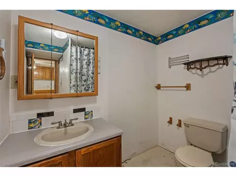 Bath - 334 4th St, Firestone, CO 80520 photo 3 of 3