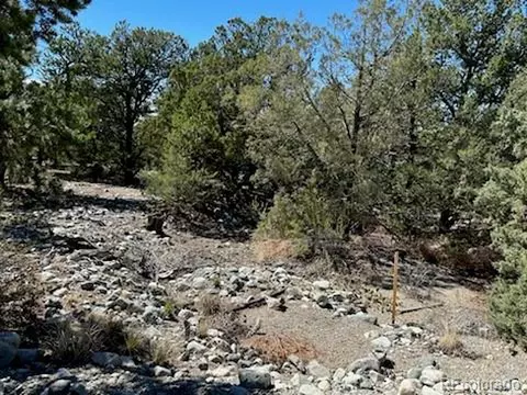 15 Mill Run Rd, Mosca, CO 81146 photo 4