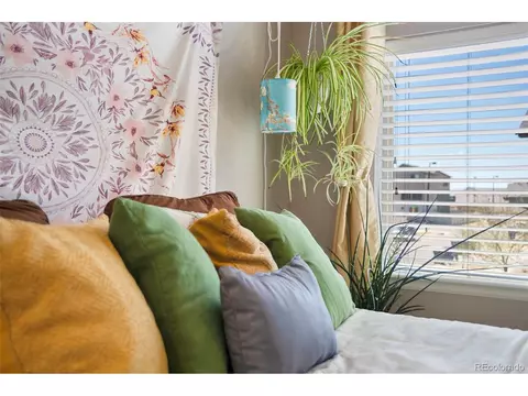 18647 E 50th Pl, Denver, CO 80249 photo 30