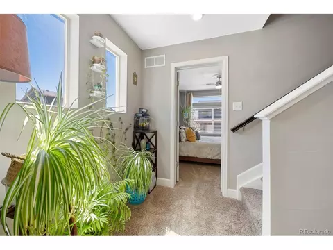 18647 E 50th Pl, Denver, CO 80249 photo 27