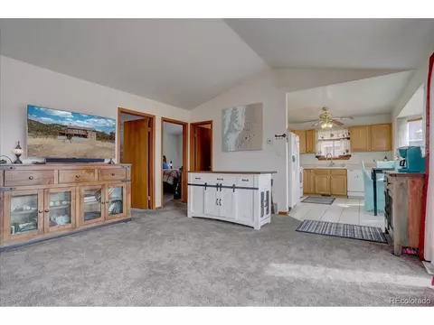 73 Sunlight Ln, Bailey, CO 80421 photo 7