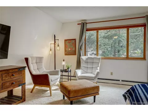 22354 Park Ln, Morrison, CO 80465 photo 19