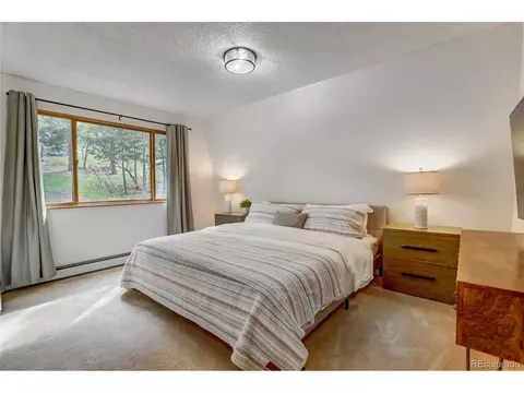 22354 Park Ln, Morrison, CO 80465 photo 15