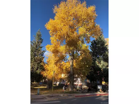 0 W Silver Ave, Crestone, CO 81131