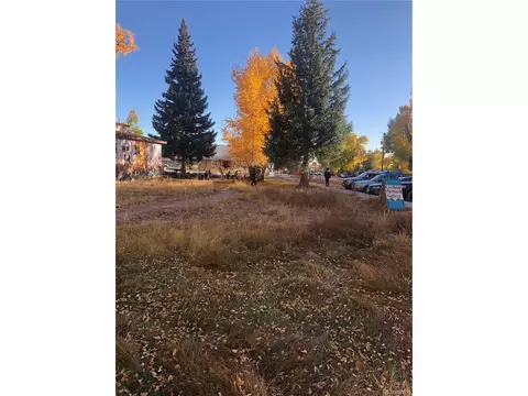 0 W Silver Ave, Crestone, CO 81131 photo 10