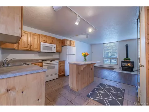 340 Straight Creek Dr #203, Dillon, CO 80435