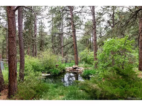 1190 Tomichi Dr, Franktown, CO 80116 photo 20