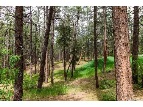 1190 Tomichi Dr, Franktown, CO 80116 photo 28