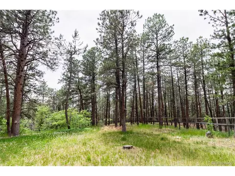 1190 Tomichi Dr, Franktown, CO 80116 photo 23