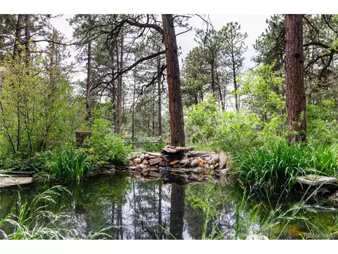 1190 Tomichi Dr, Franktown, CO 80116 photo 21