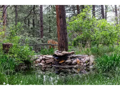 1190 Tomichi Dr, Franktown, CO 80116 photo 22