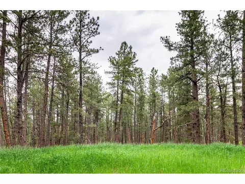 1190 Tomichi Dr, Franktown, CO 80116 photo 3