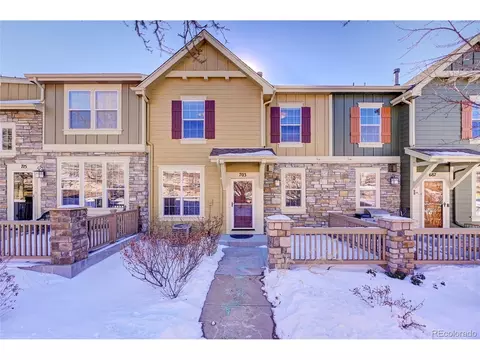 703 Reid Pl, Castle Rock, CO 80108