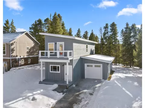162 Brooklyn Cir, Leadville, CO 80461