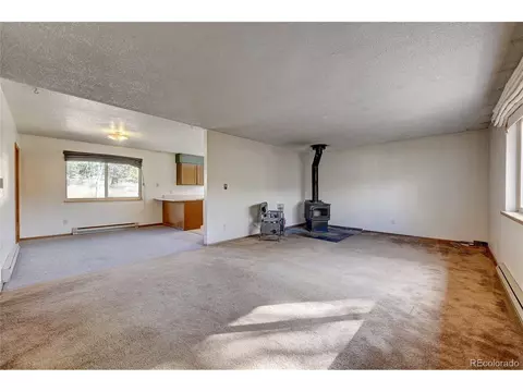 25 Mesa Ct, Bailey, CO 80421 photo 12