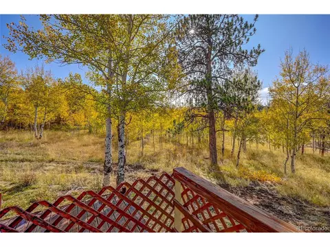25 Mesa Ct, Bailey, CO 80421 photo 27