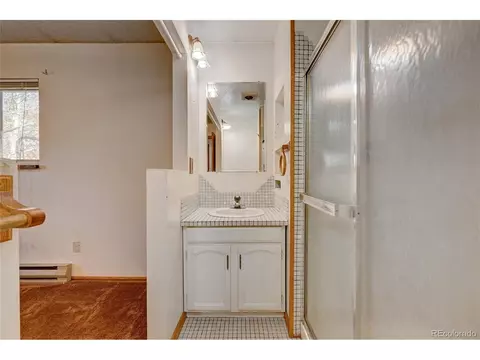 25 Mesa Ct, Bailey, CO 80421 photo 21