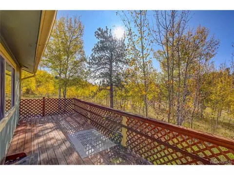 25 Mesa Ct, Bailey, CO 80421 photo 25