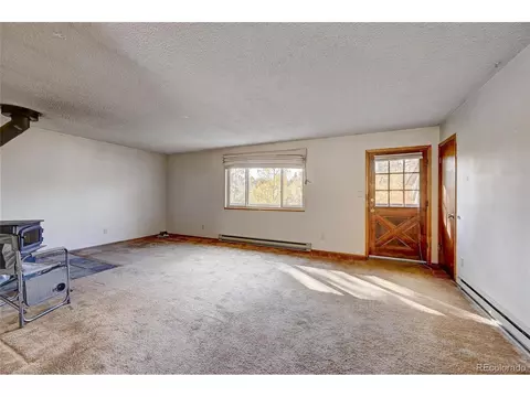 25 Mesa Ct, Bailey, CO 80421 photo 11