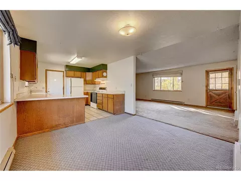 25 Mesa Ct, Bailey, CO 80421 photo 10