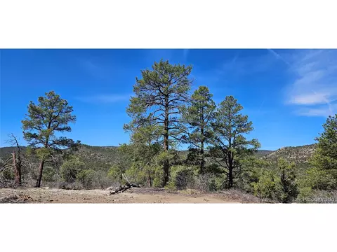 Undisclosed, Trinidad, CO 81082