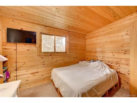 277 Timbertop Rd, Bailey, CO 80421 photo 23